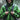 Raincoat — textile coating application using specialty polymers